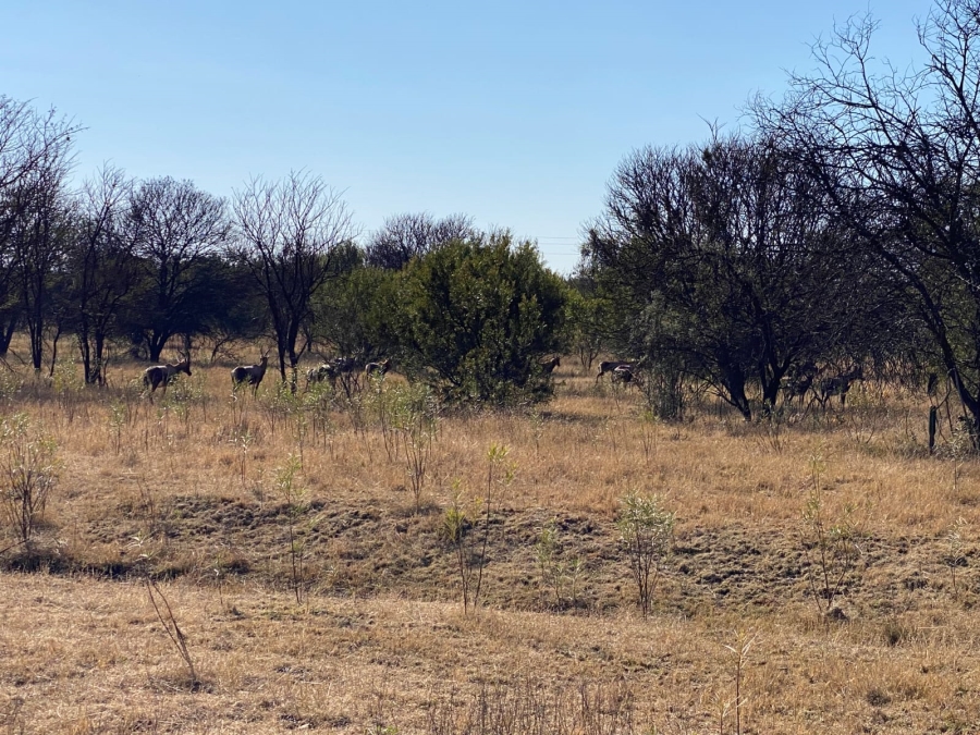 5 Bedroom Property for Sale in Koster North West